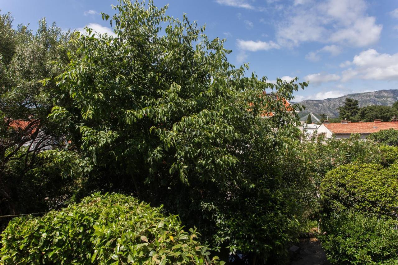 Apartamento Stella